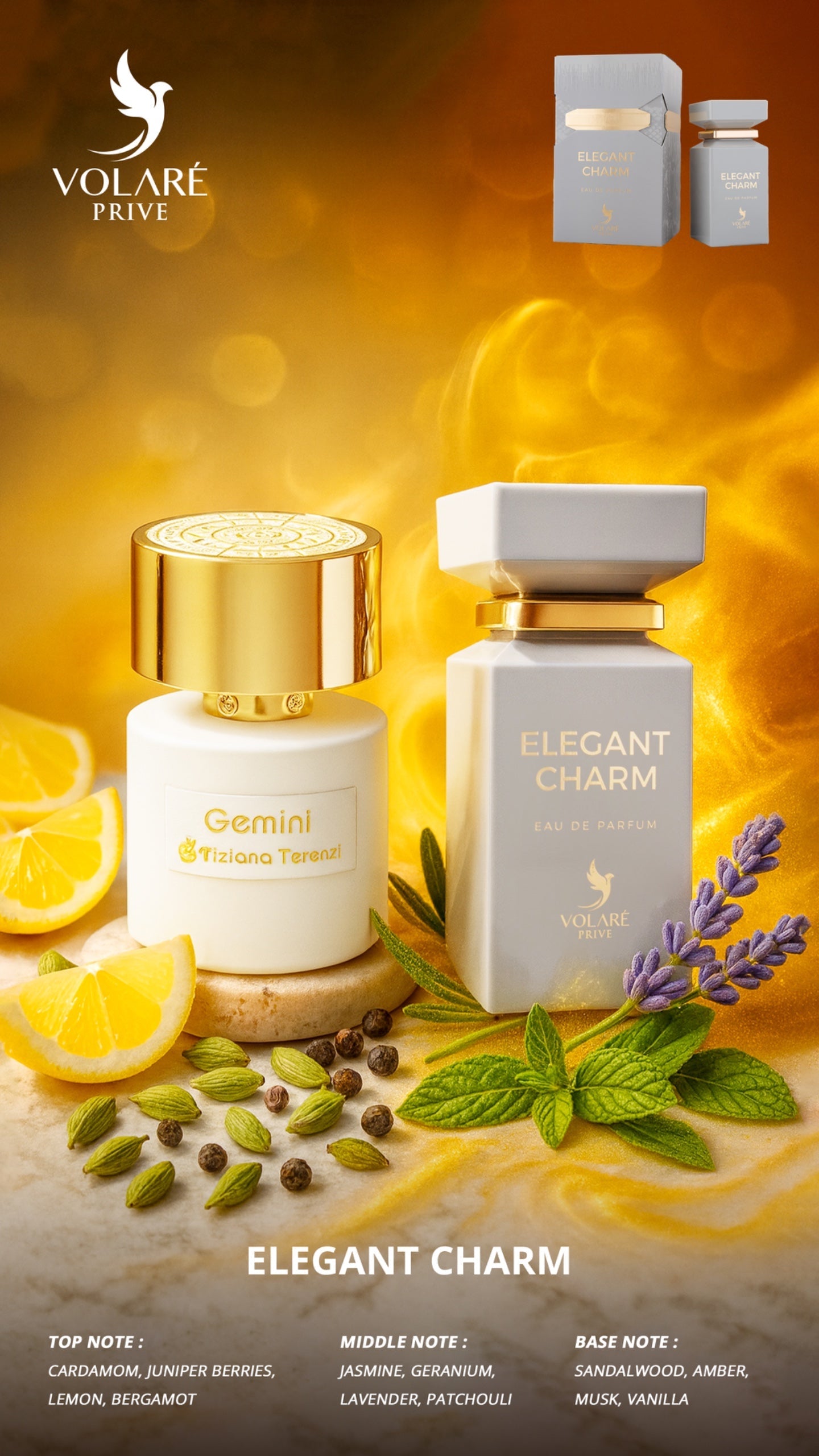 Volare Elegant Charm