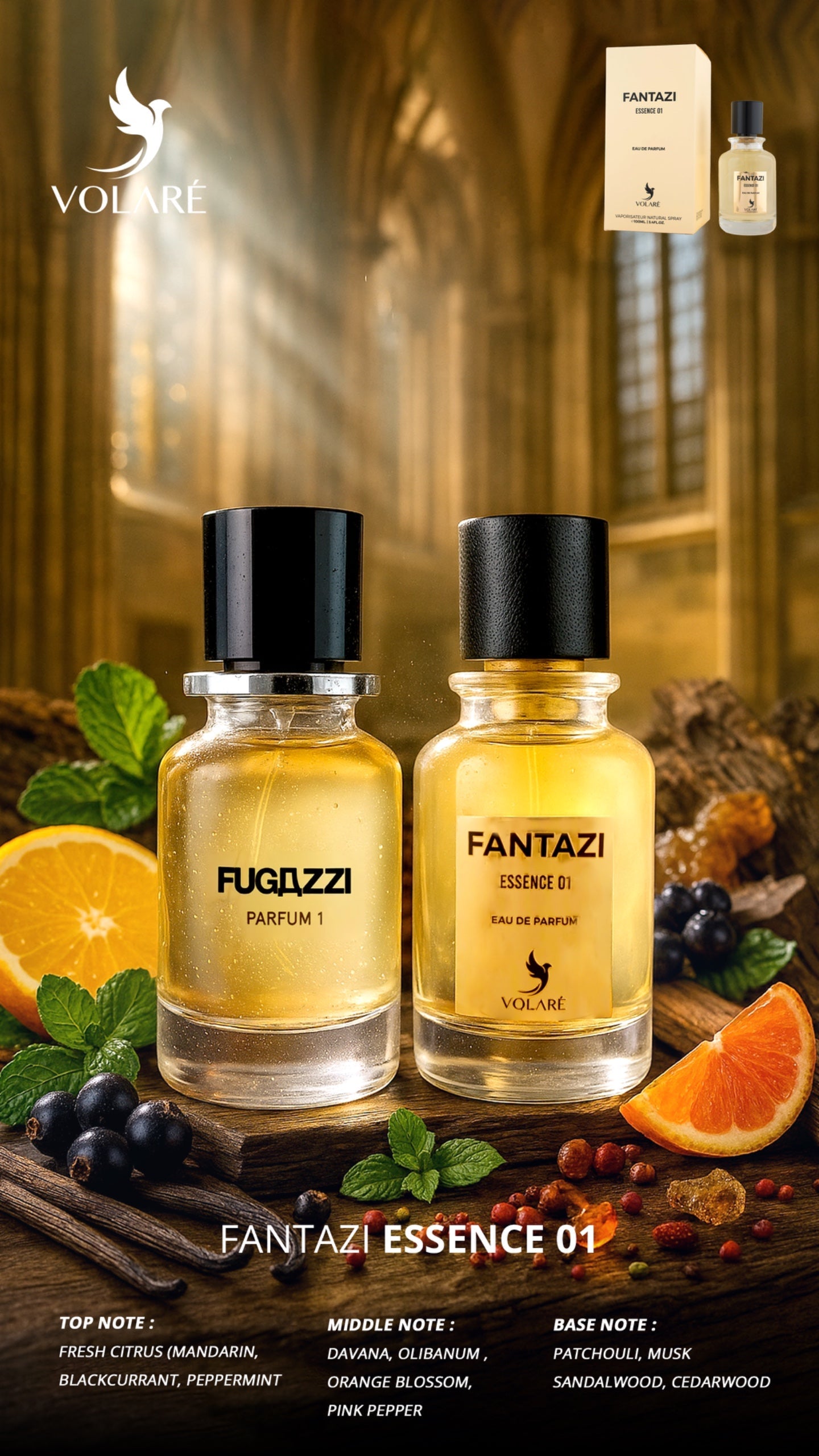 Volare Fantazi, Essence 01