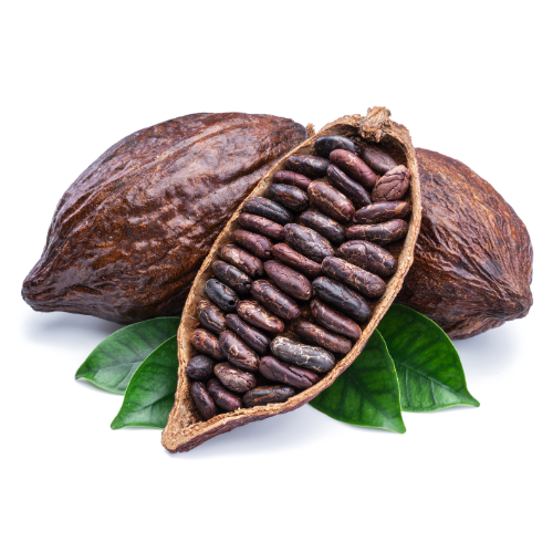 Cacao