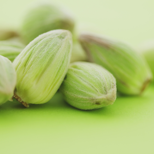 Cardamom