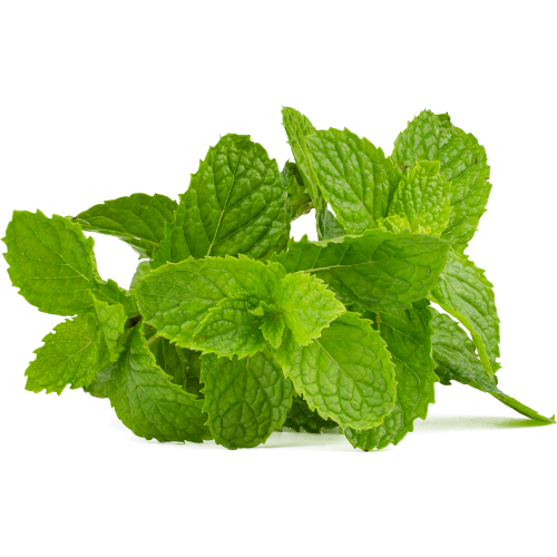 Mint