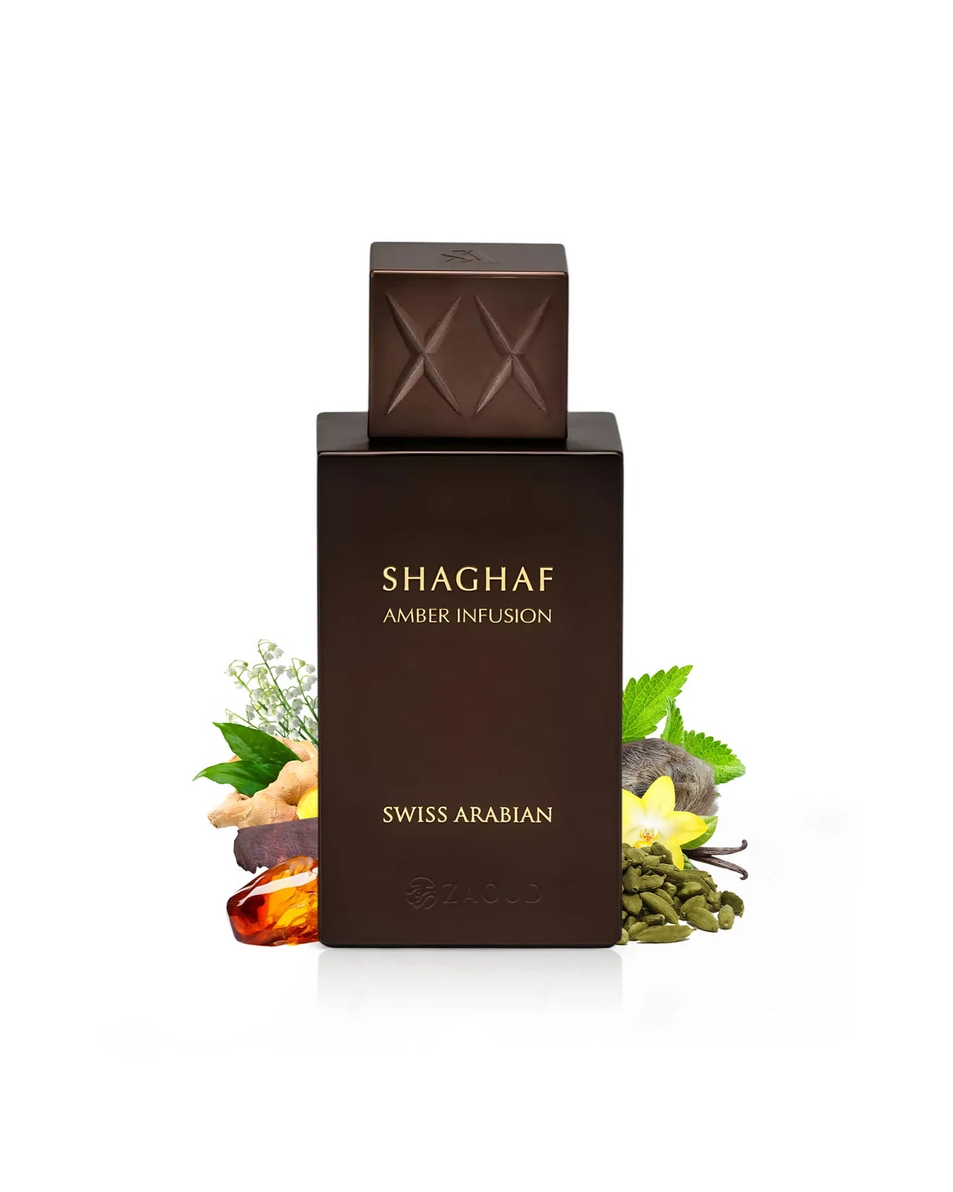 Shaghaf Amber Infusion