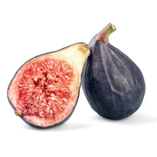 Fig